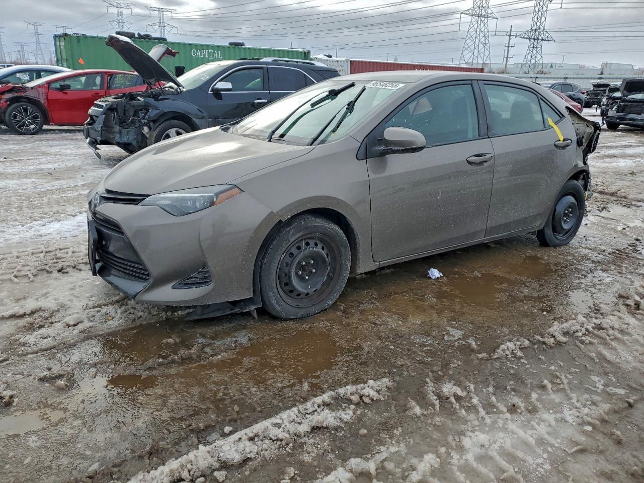 2019 TOYOTA COROLLA