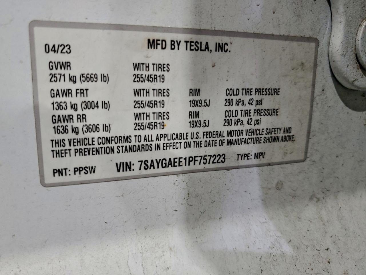 2023 TESLA MODEL Y