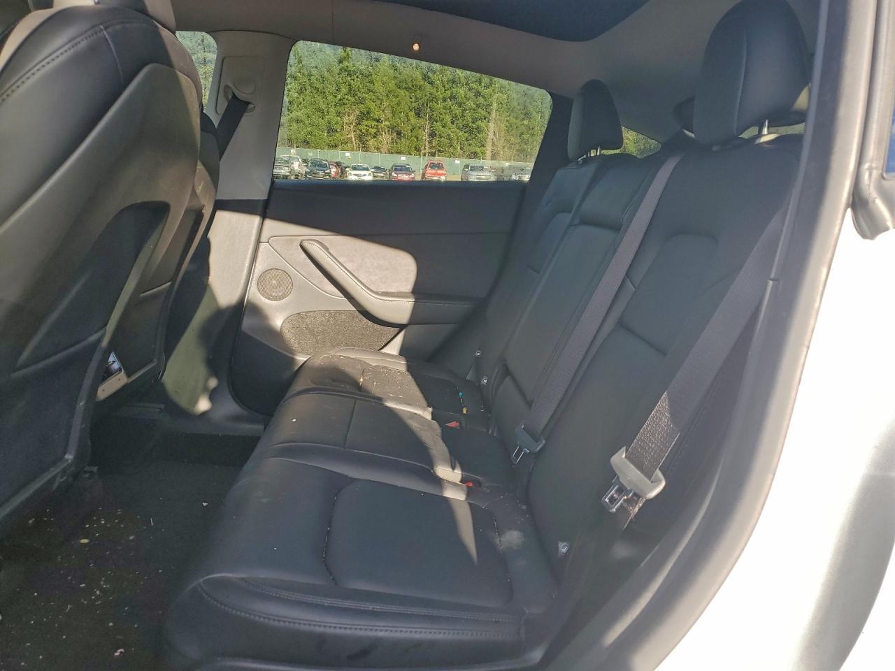 2025 TESLA MODEL Y