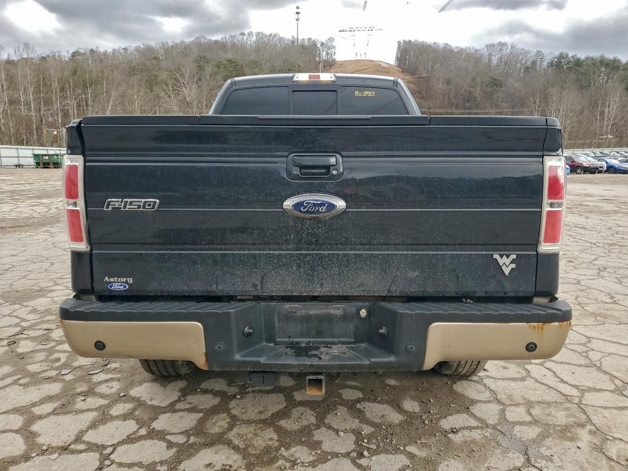 2012 FORD F-150