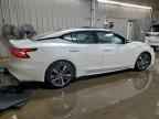2019 NISSAN Maxima