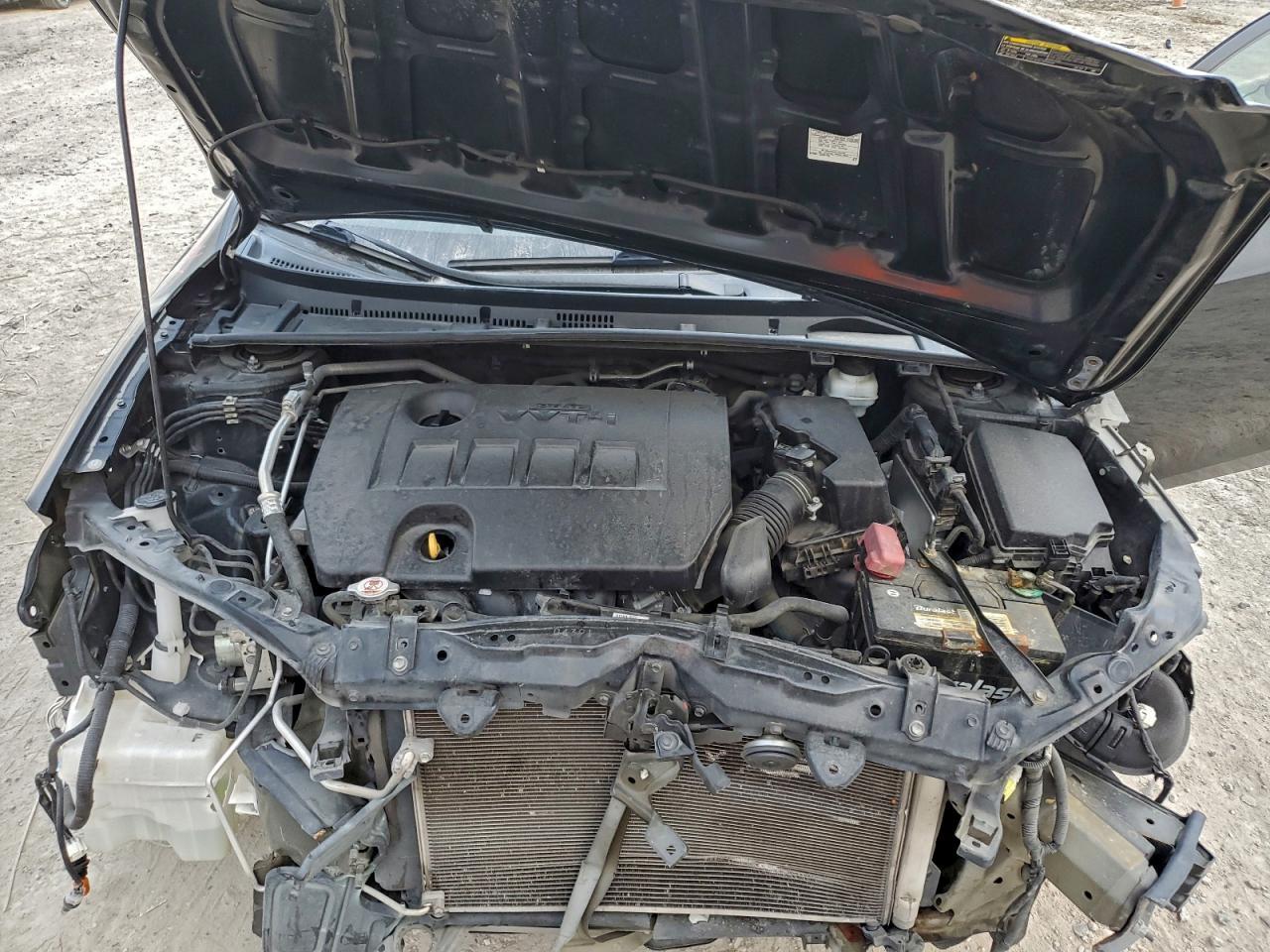 2019 TOYOTA COROLLA