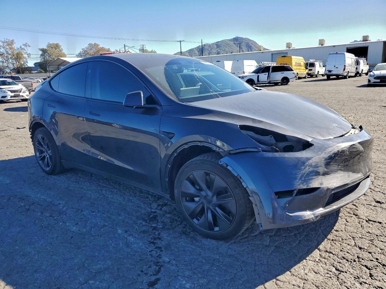 2025 TESLA MODEL Y