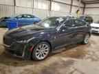 2024 CADILLAC CT5