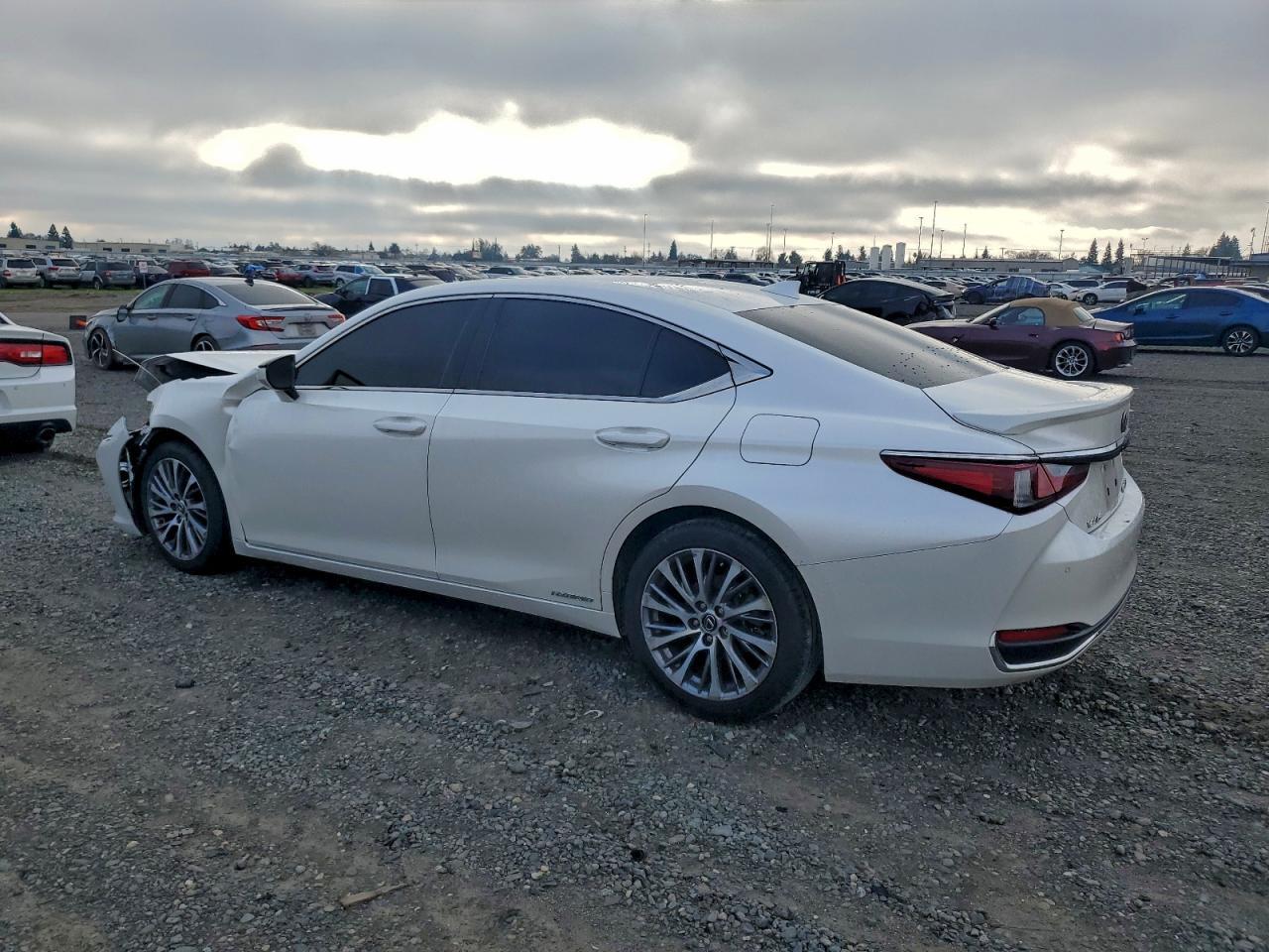 2019 LEXUS ES 300H