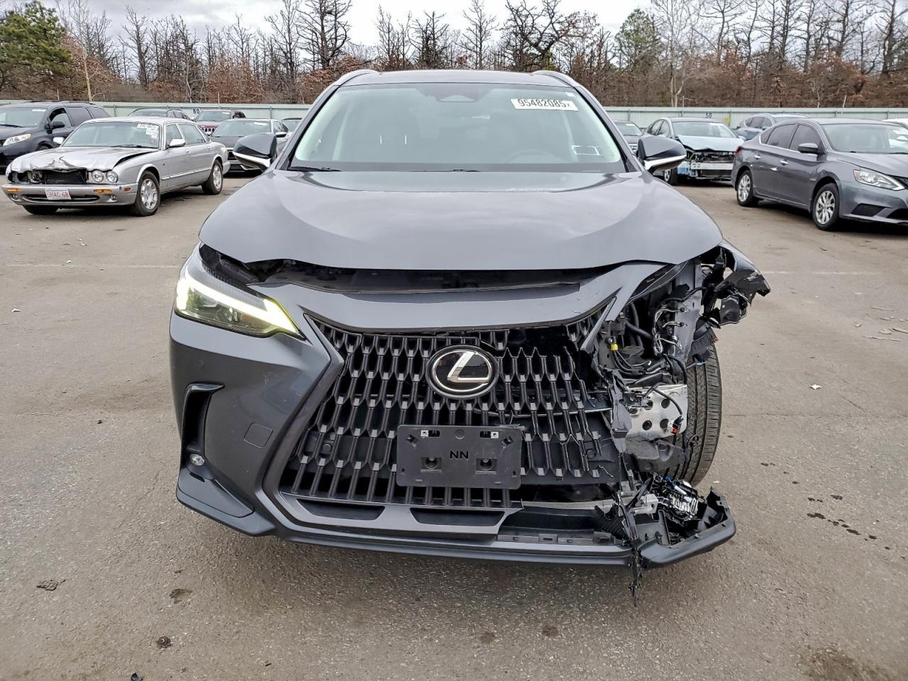 2023 LEXUS NX 250