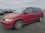 2004 HONDA ODYSSEY