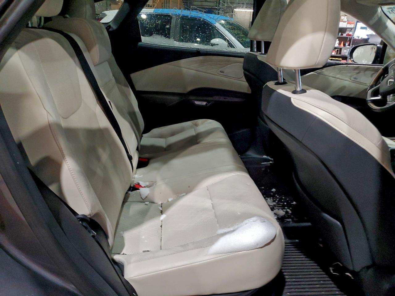 2025 LEXUS Rx