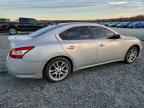 2011 NISSAN Maxima