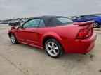 2000 FORD MUSTANG