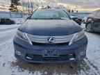 2010 LEXUS HS 250h