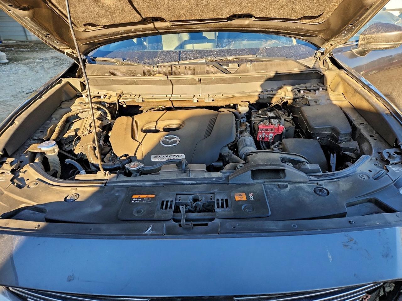 2019 MAZDA CX-9