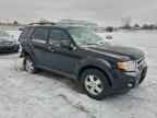 2010 FORD ESCAPE