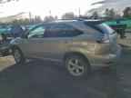 2005 LEXUS Rx 330