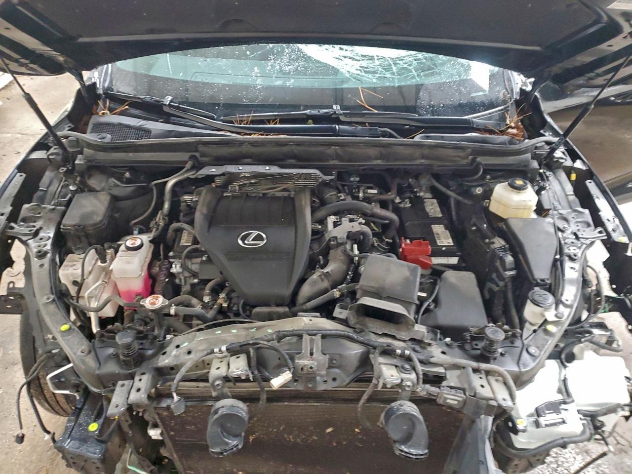 2023 LEXUS RX 350