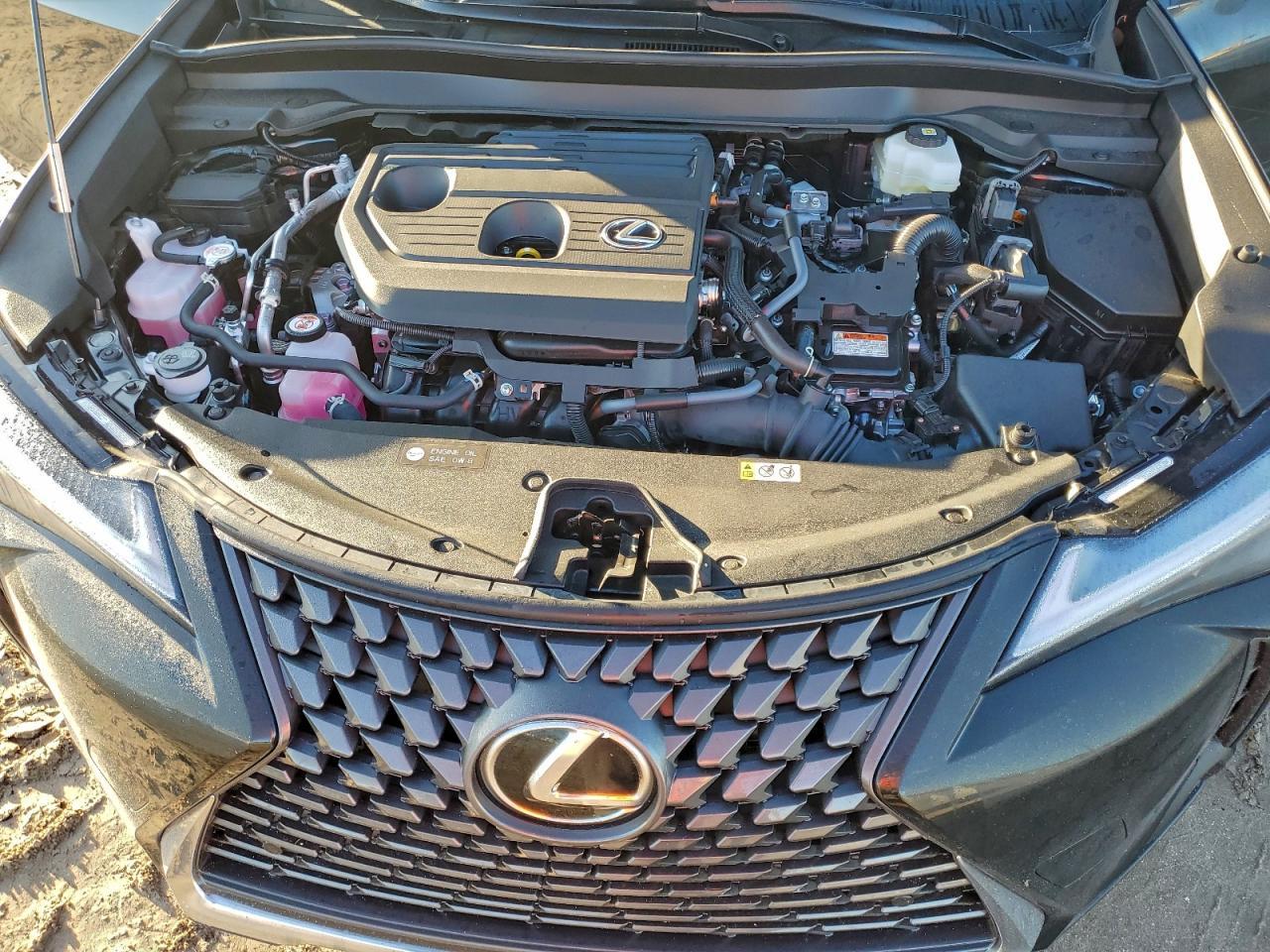 2025 LEXUS UX 300H