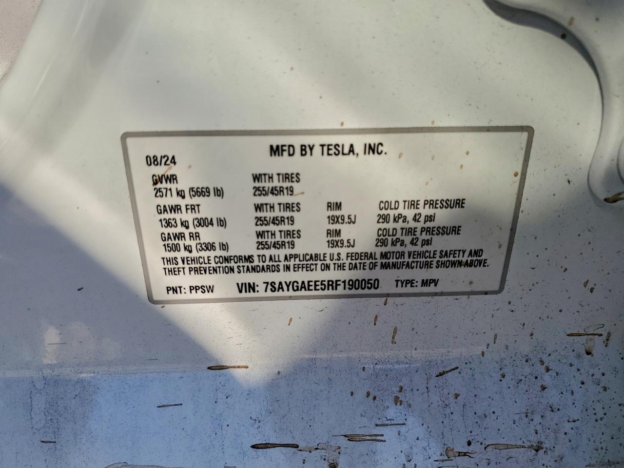 2024 TESLA MODEL Y