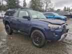 2024 TOYOTA 4Runner