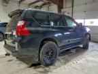 2013 LEXUS GX 460