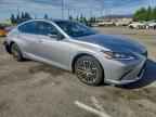 2024 LEXUS ES 350