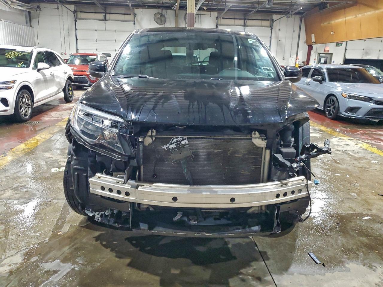 2019 HONDA Passport