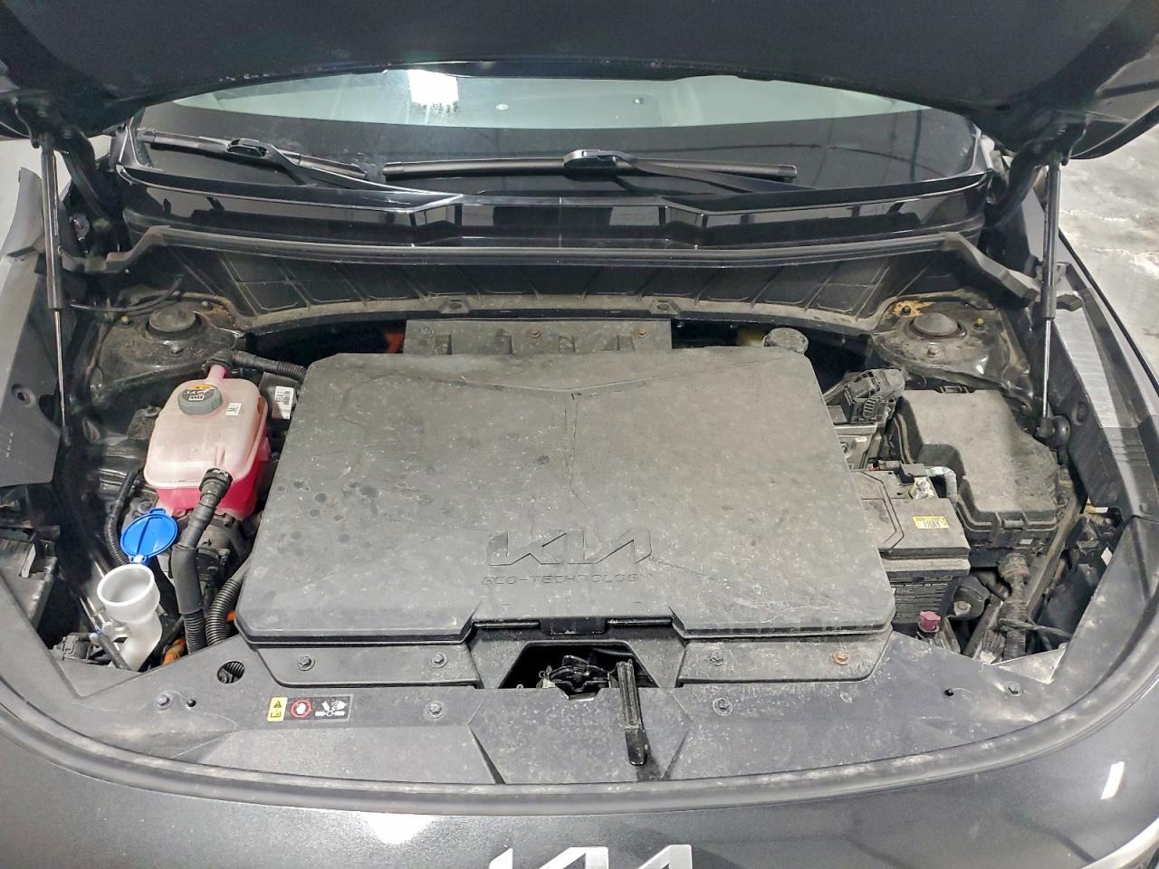 2024 KIA Niro