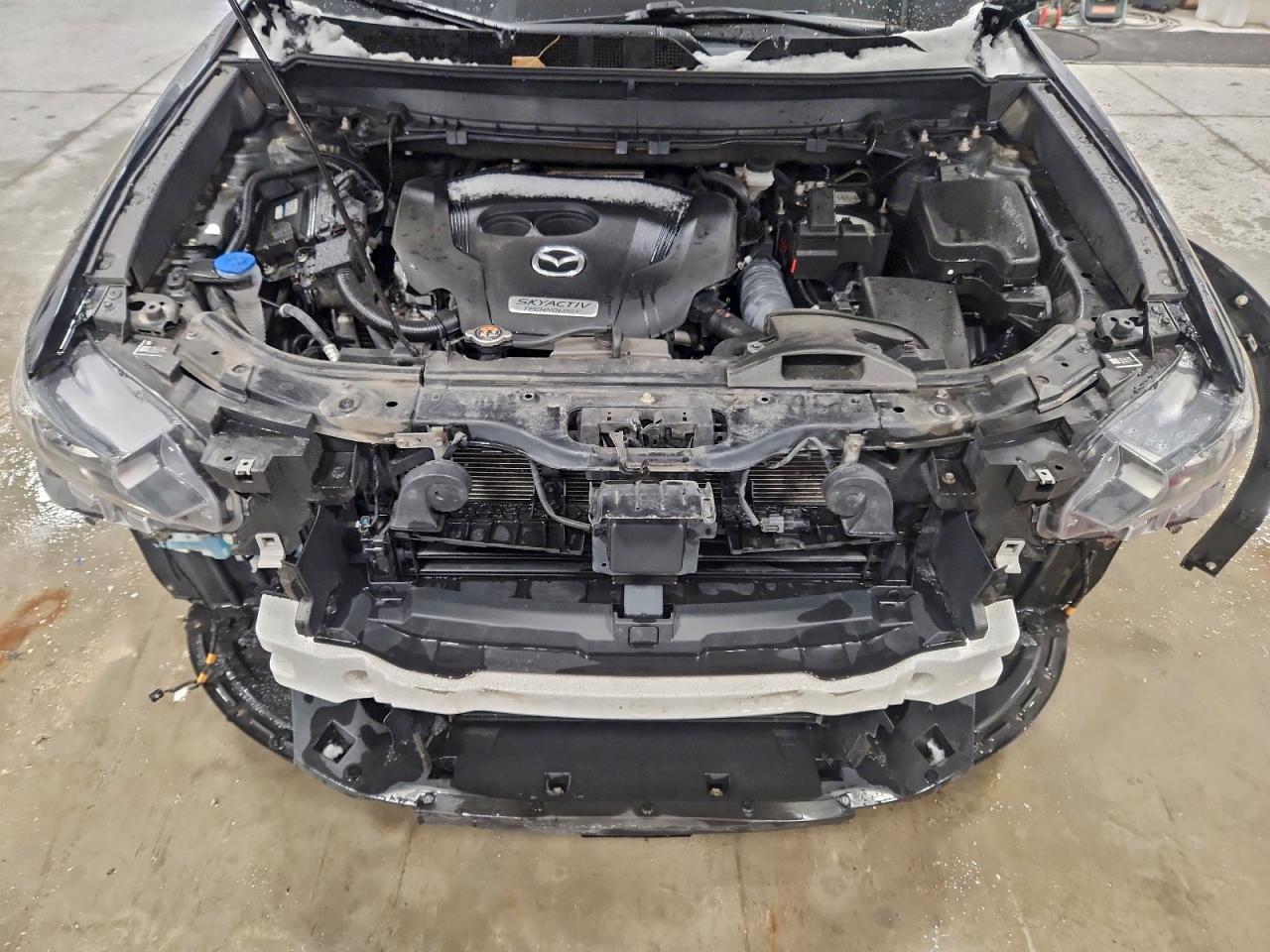 2019 MAZDA CX-9