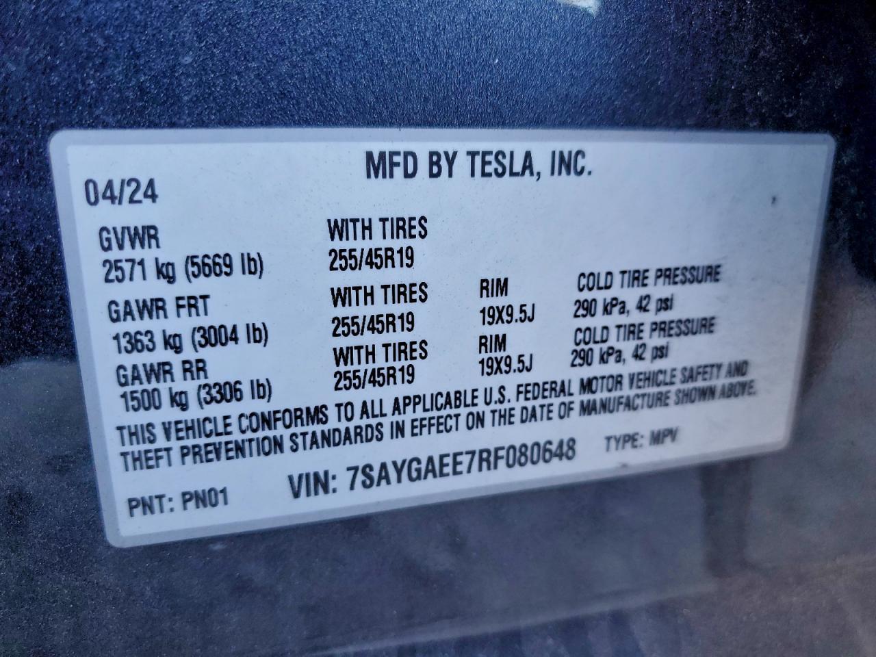 2024 TESLA MODEL Y