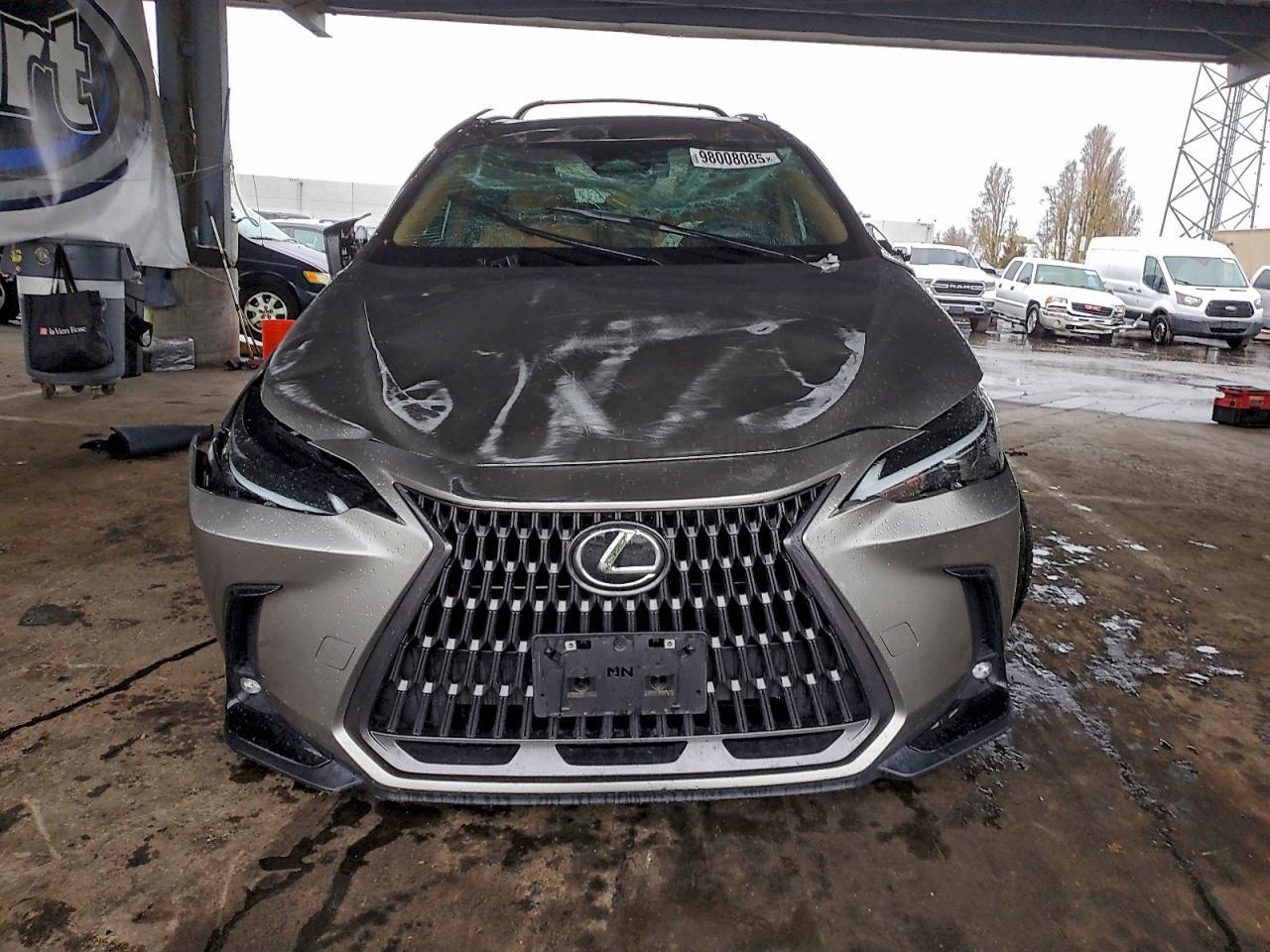 2024 LEXUS NX 250