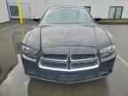 2014 DODGE CHARGER