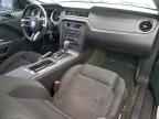 2013 FORD MUSTANG
