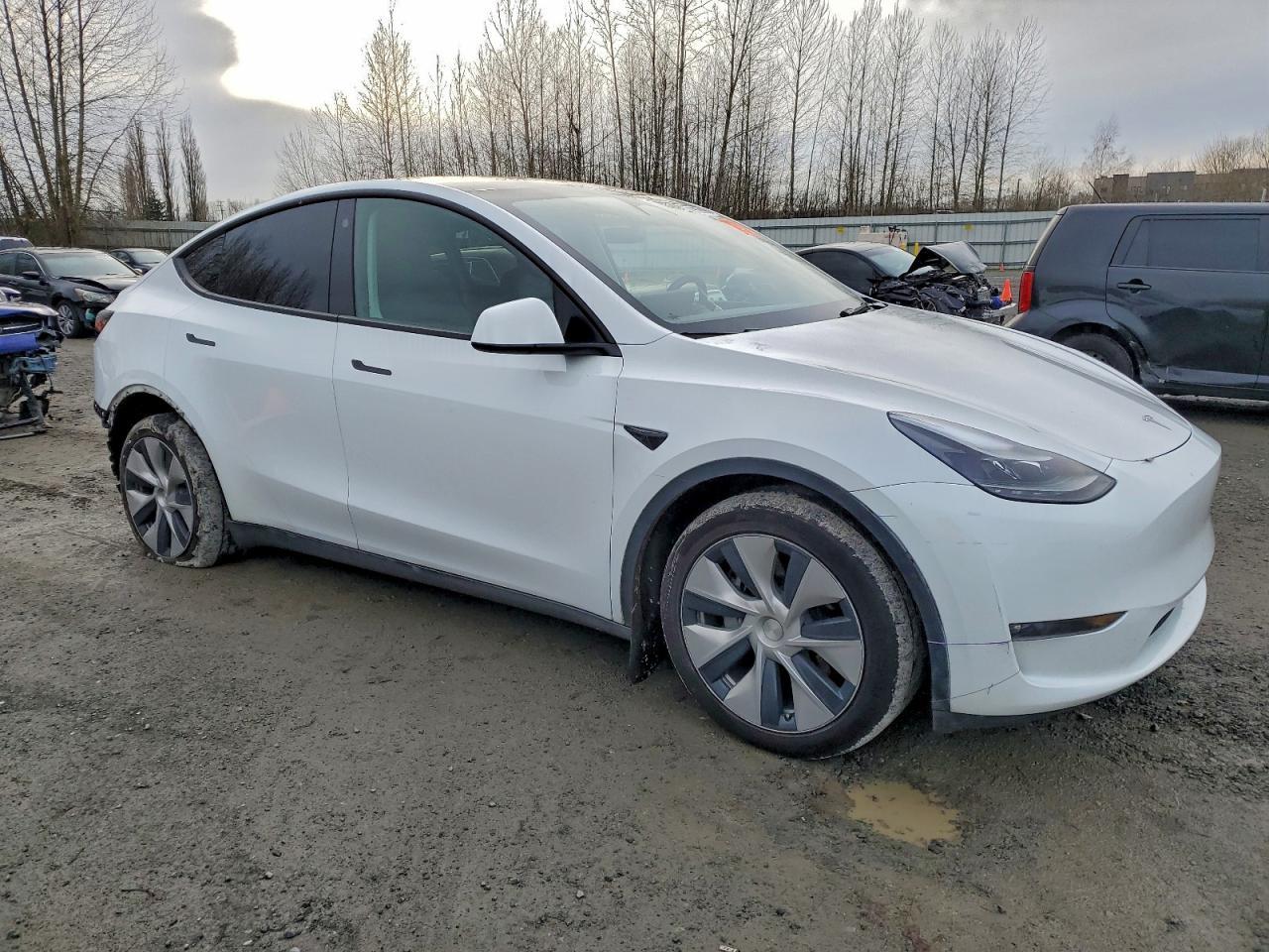 2026 TESLA MODEL Y