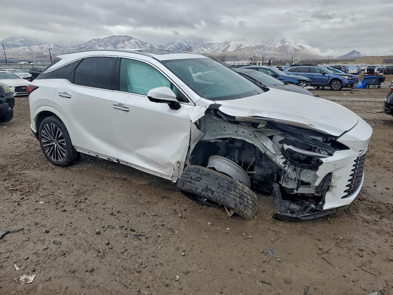 2024 LEXUS RX 350