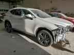 2025 LEXUS Nx