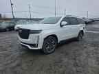 2023 CADILLAC ESCALADE