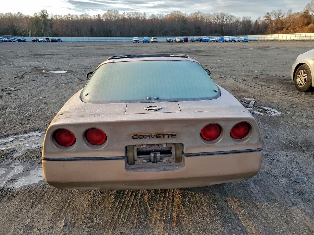 1984 CHEVROLET CORVETTE