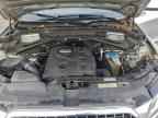 2013 AUDI Q5