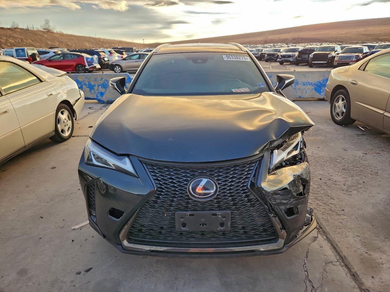 2019 LEXUS UX 250H
