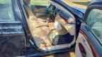 2009 LEXUS LS 460