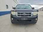 2009 FORD ESCAPE