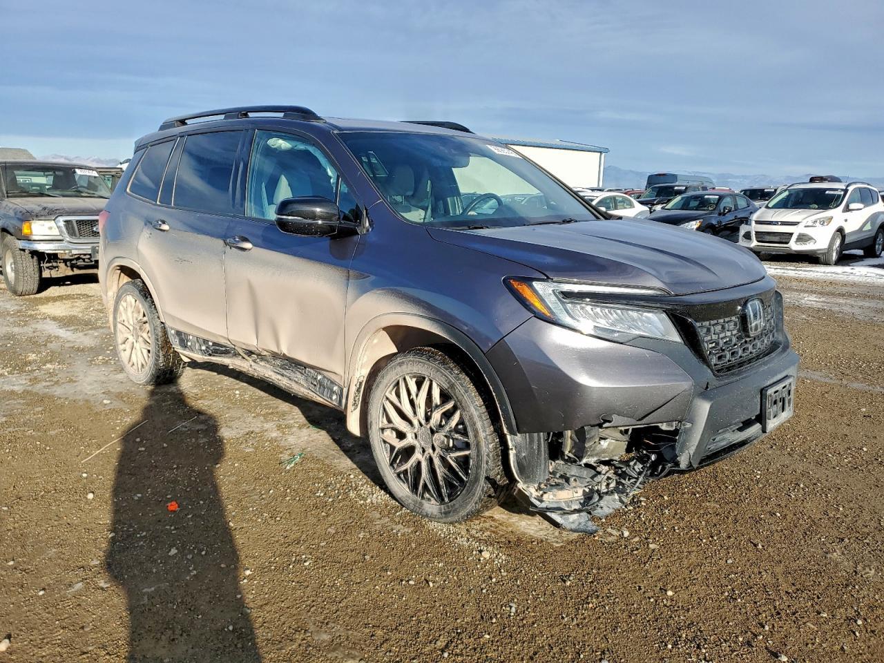 2019 HONDA Passport