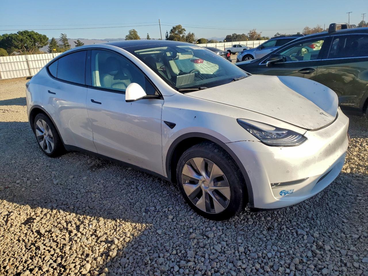 2021 TESLA MODEL Y