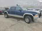 2003 DODGE Dakota