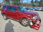 2009 FORD ESCAPE