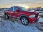 2010 DODGE RAM 1500