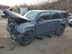 2024 TOYOTA 4Runner