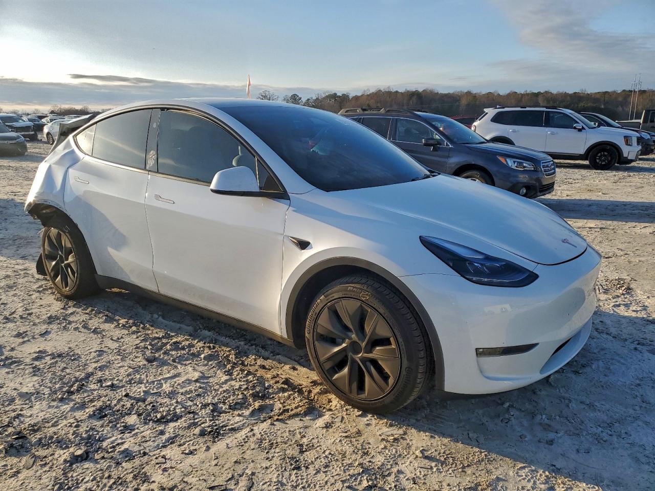 2024 TESLA MODEL Y