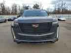2024 CADILLAC ESCALADE