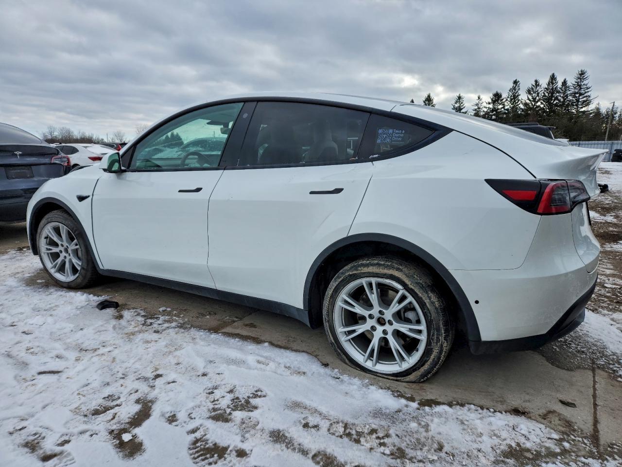 2021 TESLA MODEL Y