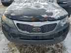 2011 KIA SORENTO